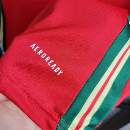 24-25 Welsh Home Jersey