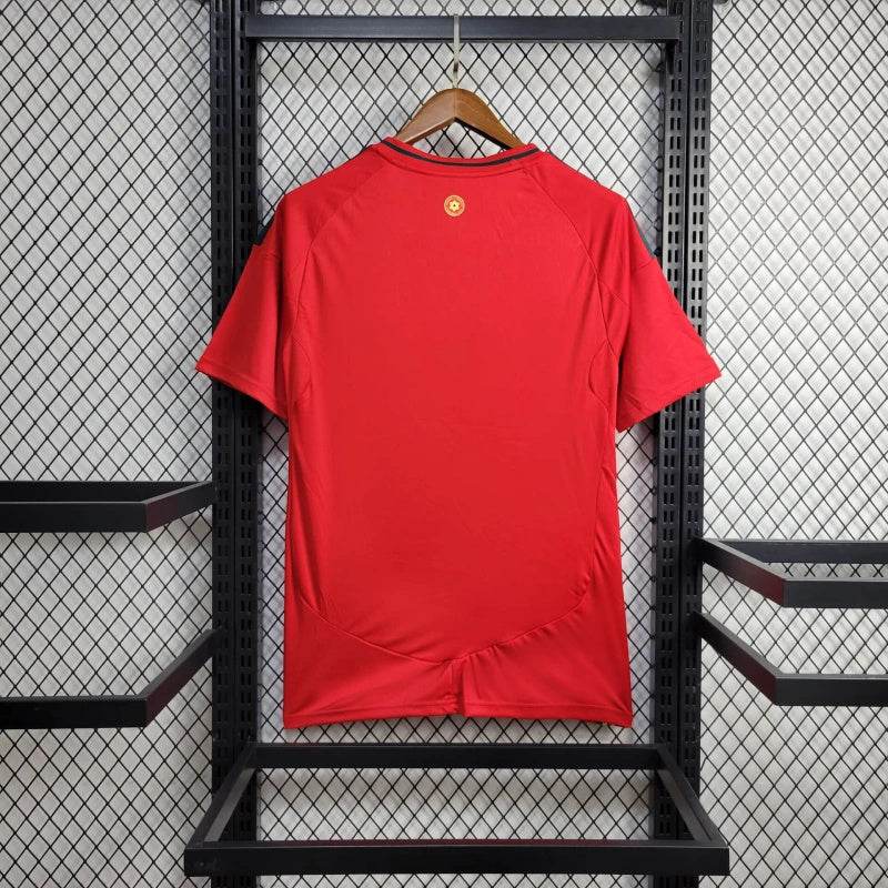24-25 Welsh Home Jersey