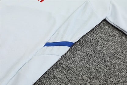 Lyon Light Gray High Collar Style Tracksuit