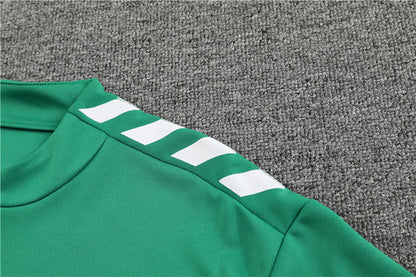 Betis Green Tracksuit